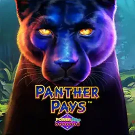 Panther Pays