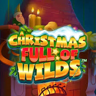 A Christmas Full of Wilds